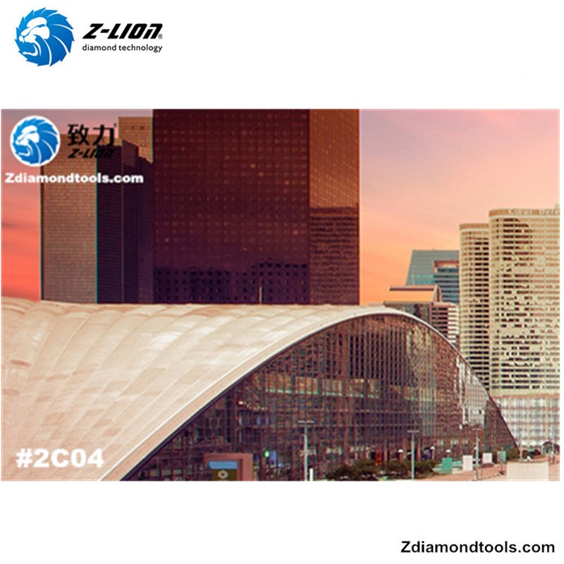 2019 10ème exposition sur le polissage de surfaces en Chine # Z-LION DIAMOND TOOLS